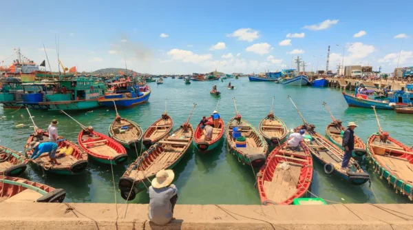 Đảo Ngọc Gọi Tên – Lạc Trôi Trong Xanh Biếc - Image 5